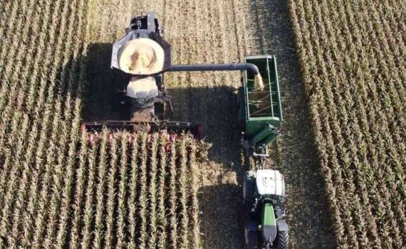 Первые сельскохозяйственные палаты в Молдове откроются уже в этом году - agroexpert.md