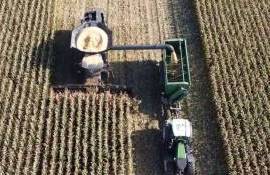 Первые сельскохозяйственные палаты в Молдове откроются уже в этом году - agroexpert.md