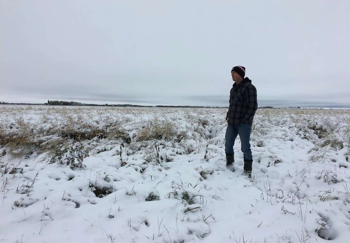 recoltarea culturilor agricole reluata - AGROEXPERT.MD