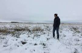 recoltarea culturilor agricole reluata - AGROEXPERT.MD