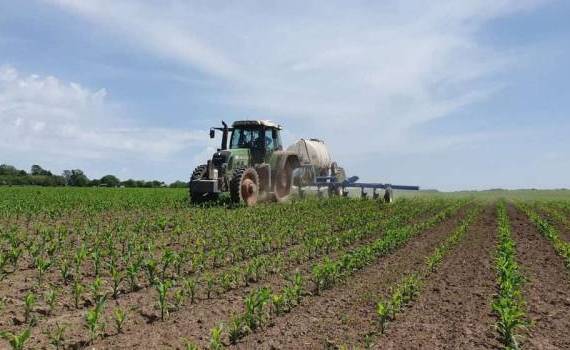 Credite mai ieftine pentru fermieri: câți au beneficiat de finanțare - agroexpert.md