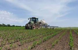 Credite mai ieftine pentru fermieri: câți au beneficiat de finanțare - agroexpert.md