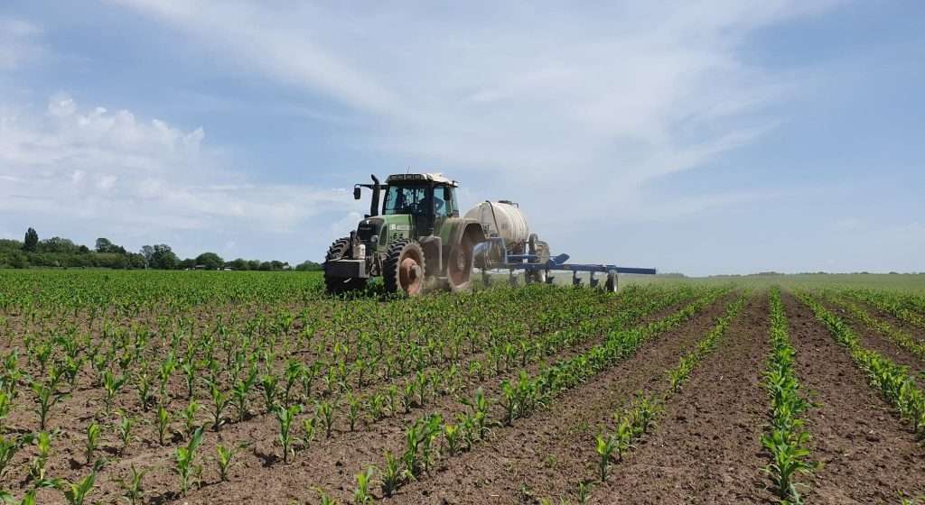 Credite mai ieftine pentru fermieri: câți au beneficiat de finanțare - agroexpert.md