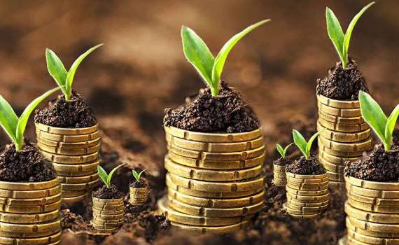 Fermierii pot accesa credite pentru cheltuieli curente prin programul FCA - agroexpert.md