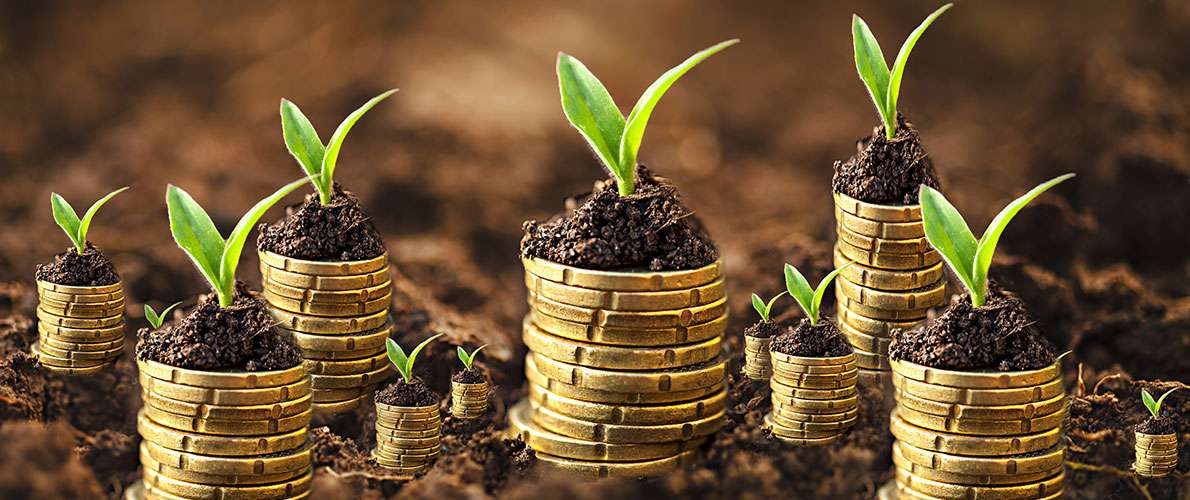 Fermierii pot accesa credite pentru cheltuieli curente prin programul FCA - agroexpert.md