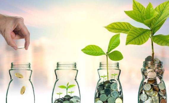 Apel extins pentru IMM-urile agroalimentare din Republica Moldova - agroexpert.md