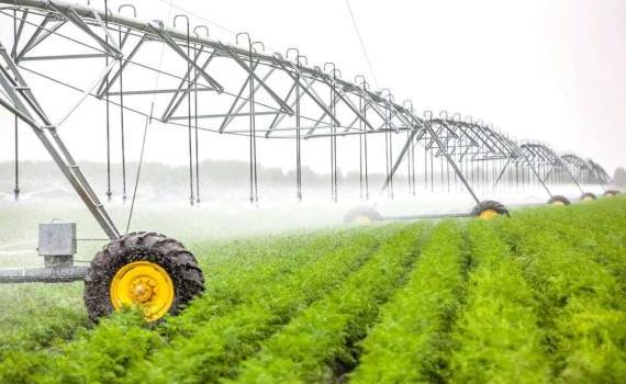 В Молдове запускают проекты по строительству современных систем орошения - agroexpert.md