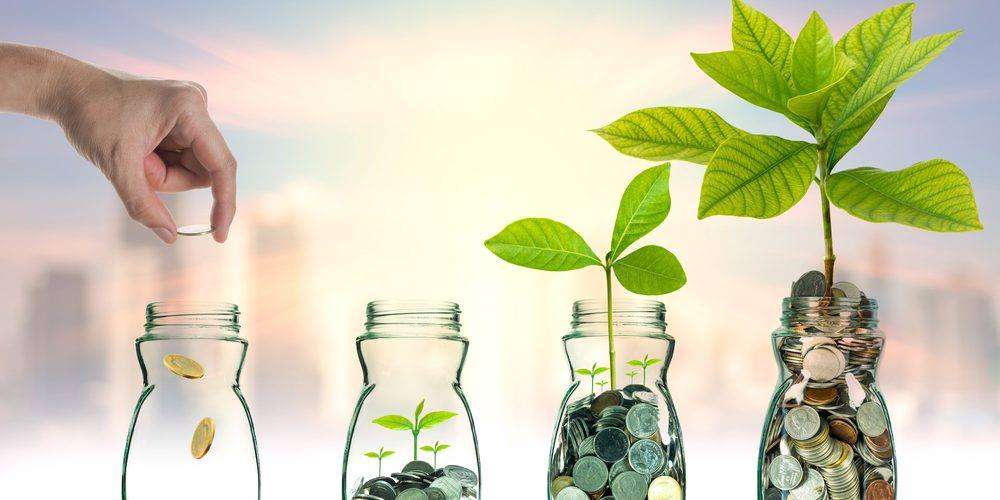 Apel extins pentru IMM-urile agroalimentare din Republica Moldova - agroexpert.md