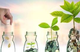 Apel extins pentru IMM-urile agroalimentare din Republica Moldova - agroexpert.md