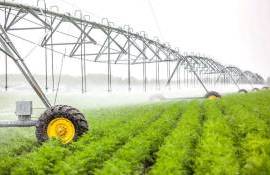 В Молдове запускают проекты по строительству современных систем орошения - agroexpert.md