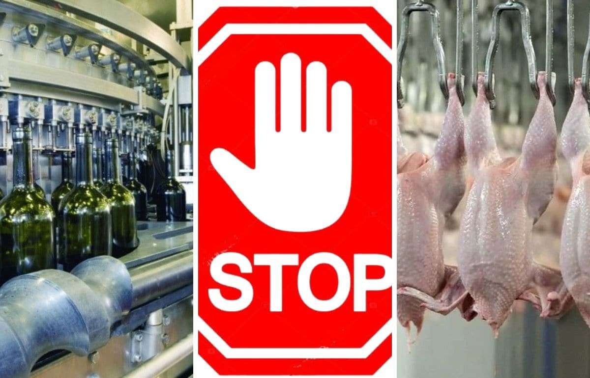 Молдова рискует столкнуться с запретом экспорта вина из-за курятины - agroexpert.md