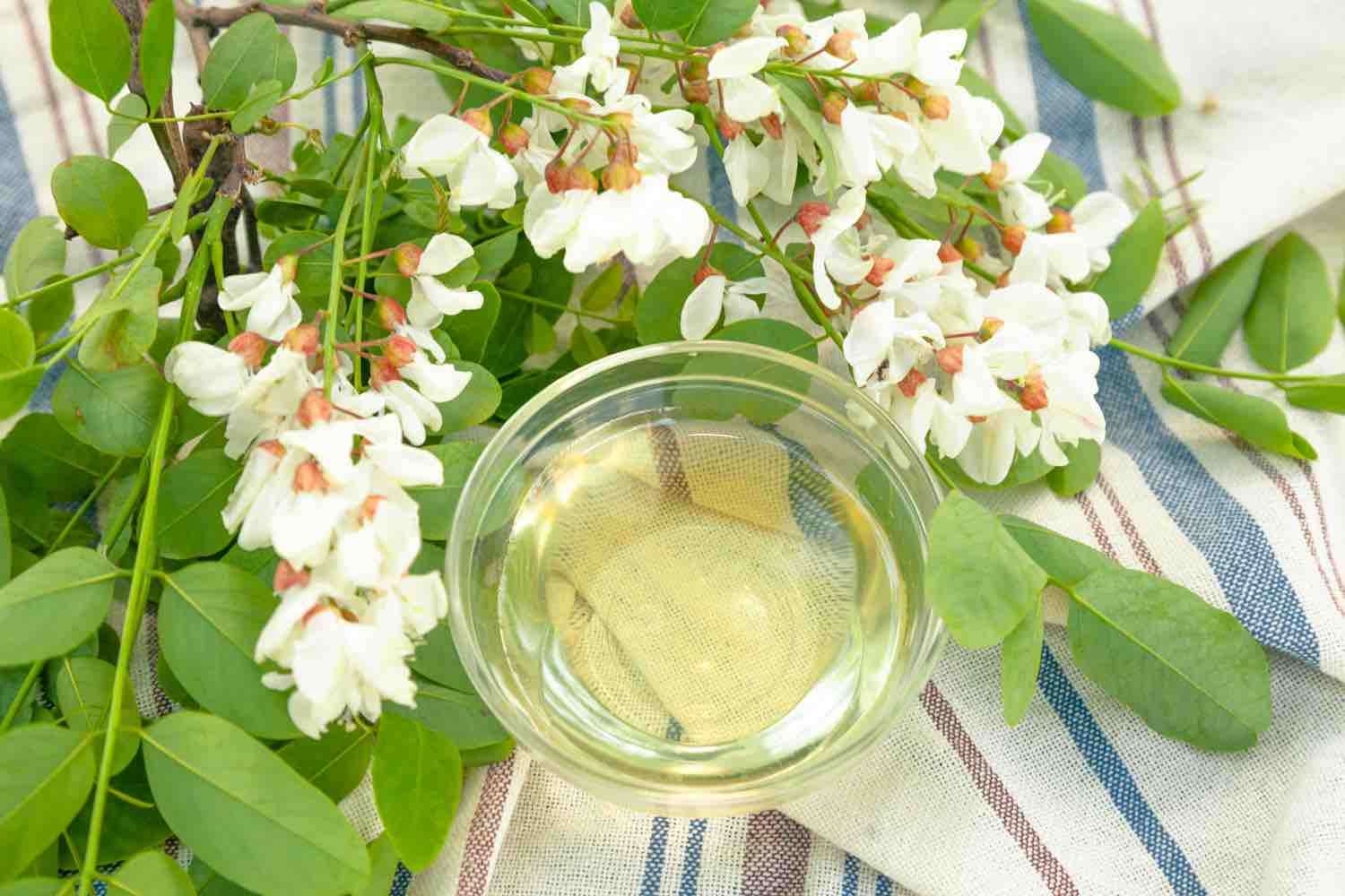  apicultorii ar putea rămâne fără miere de salcâm - agroexpert.md