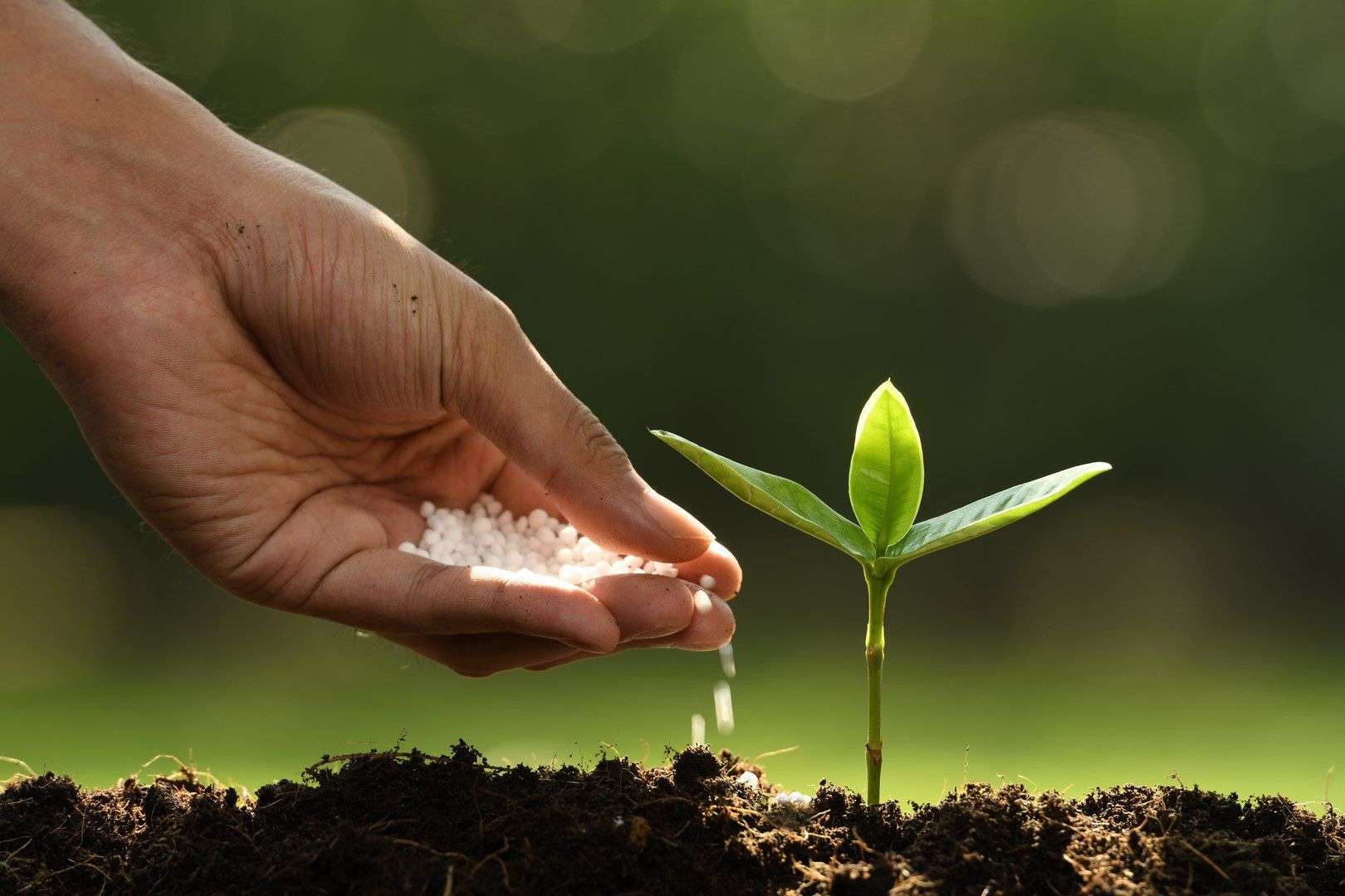 Fermierii vor putea accesa un nou mecanism de sprijin pentru fertilizanți - agroexpert.md