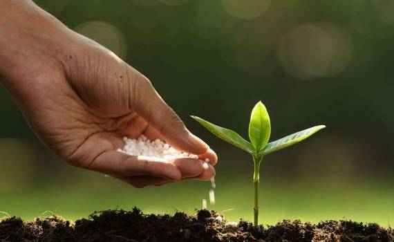 Fermierii vor putea accesa un nou mecanism de sprijin pentru fertilizanți - agroexpert.md