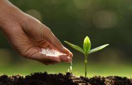 Fermierii vor putea accesa un nou mecanism de sprijin pentru fertilizanți - agroexpert.md