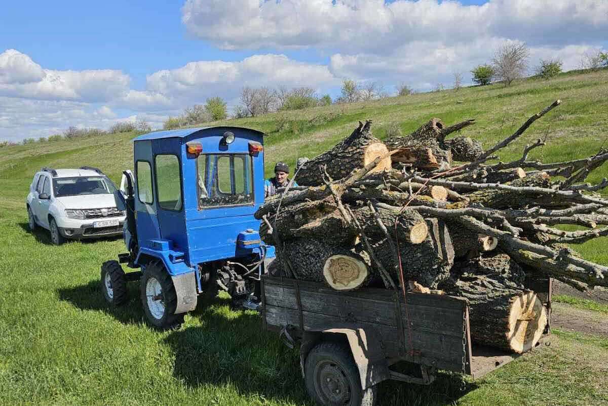 Tăieri ilicite și depozitări neautorizate de deșeuri depistate la Florești - agroexpert.md