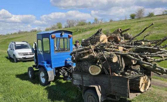 Tăieri ilicite și depozitări neautorizate de deșeuri depistate la Florești - agroexpert.md