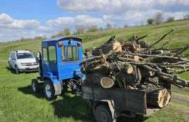 Tăieri ilicite și depozitări neautorizate de deșeuri depistate la Florești - agroexpert.md