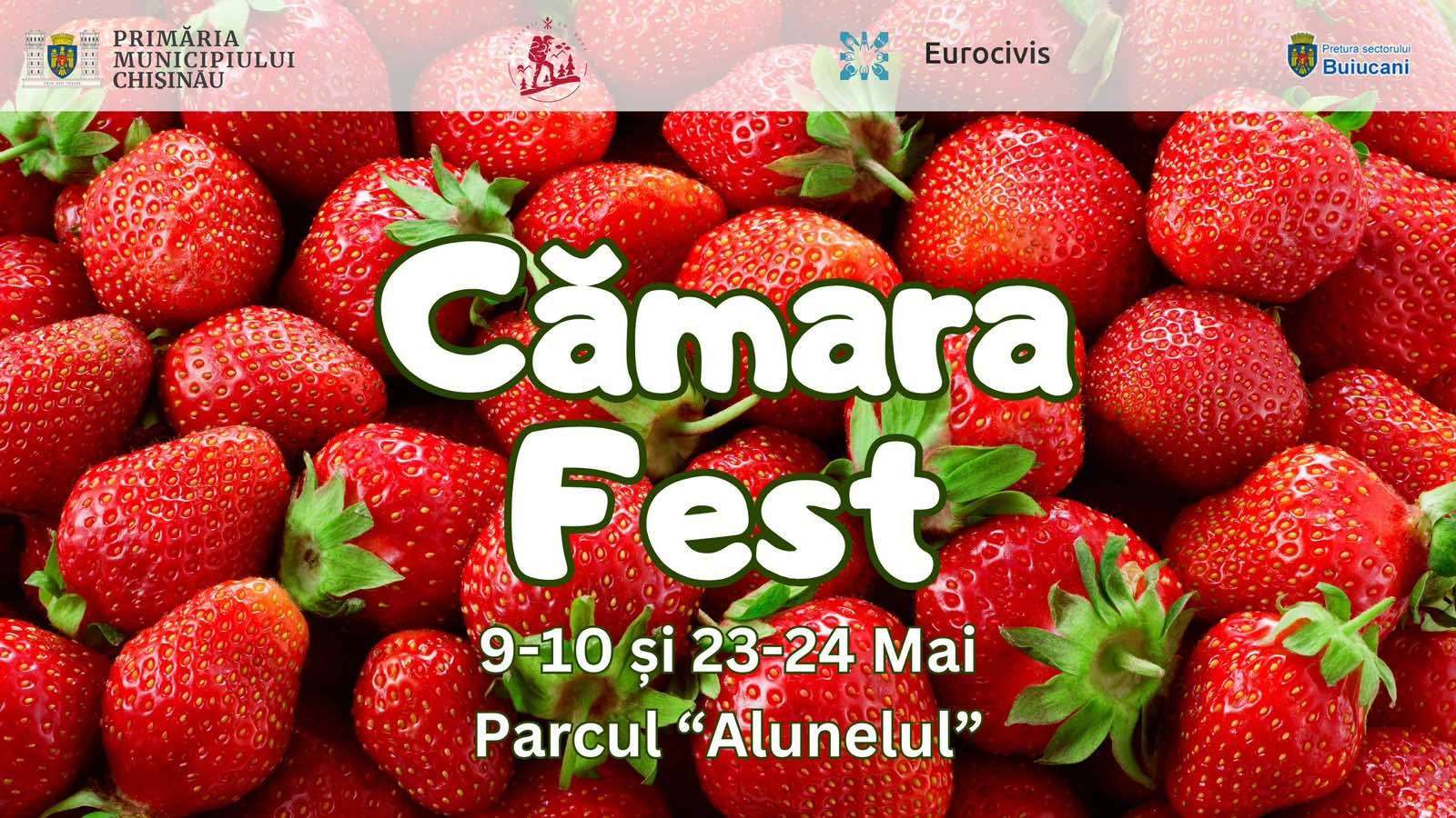 Gusturile Republicii Moldova se adună la Cămara Fest - agroexpert.md