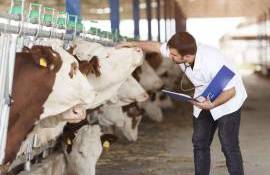 Tinerii veterinari pot primi indemnizații - agroexpert.md
