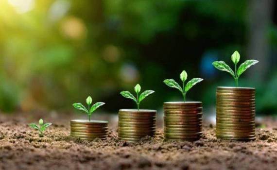 Au fost aprobate primele mijloace financiare din Planul de creștere al RM - agroexpert.md