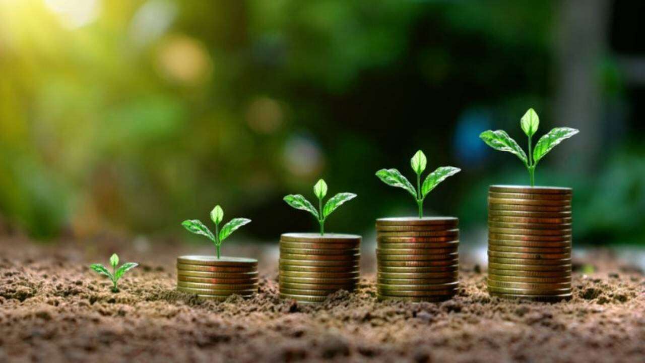 Au fost aprobate primele mijloace financiare din Planul de creștere al RM - agroexpert.md