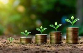 Au fost aprobate primele mijloace financiare din Planul de creștere al RM - agroexpert.md