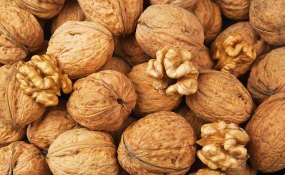 Украина сократила экспорт грецкого ореха в десять раз - agroexpert.md