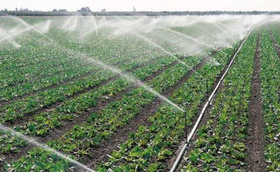 noi sisteme de irigare - agroexpert.md
