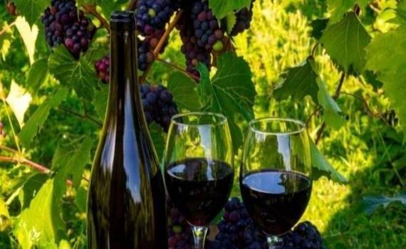 В ЕС согласовали решение о поддержке своей винодельческой отрасли - agroexpert.