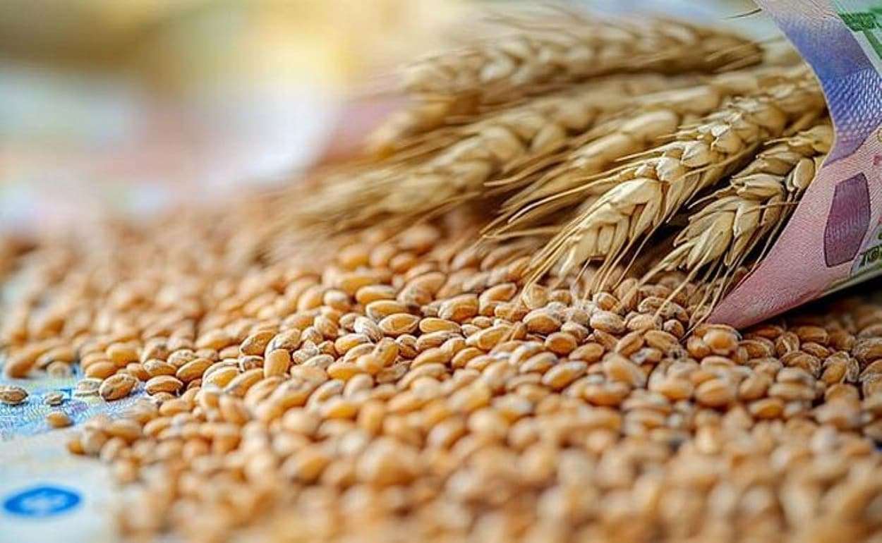 Экспорт пшеницы из ЕС в текущем сезоне на 10% превышает прошлогодний - agroexpert.md