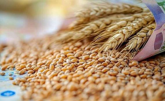 Экспорт пшеницы из ЕС в текущем сезоне на 10% превышает прошлогодний - agroexpert.md