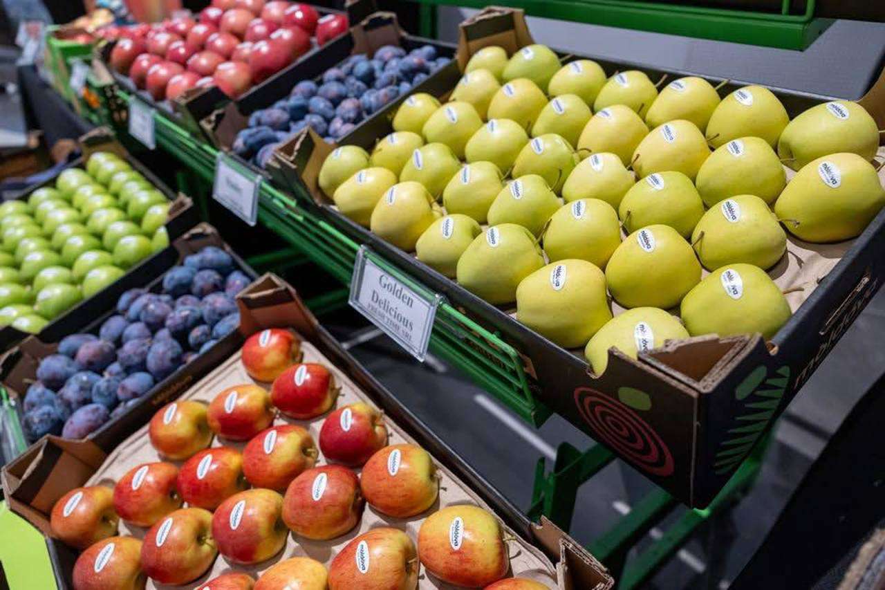 Grupurile de producători pot solicita subvenții - agroexpert.md
