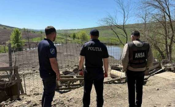 Razii la ferme și stâne din raionul Ialoveni. Mai multe încălcări depistate  - agroexpert.md