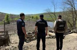 Razii la ferme și stâne din raionul Ialoveni. Mai multe încălcări depistate  - agroexpert.md