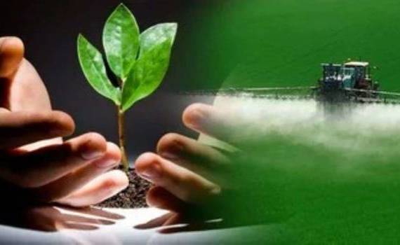 Объем мирового рынка органических пестицидов превысил 5,3 млрд долларов - agroexpert.md