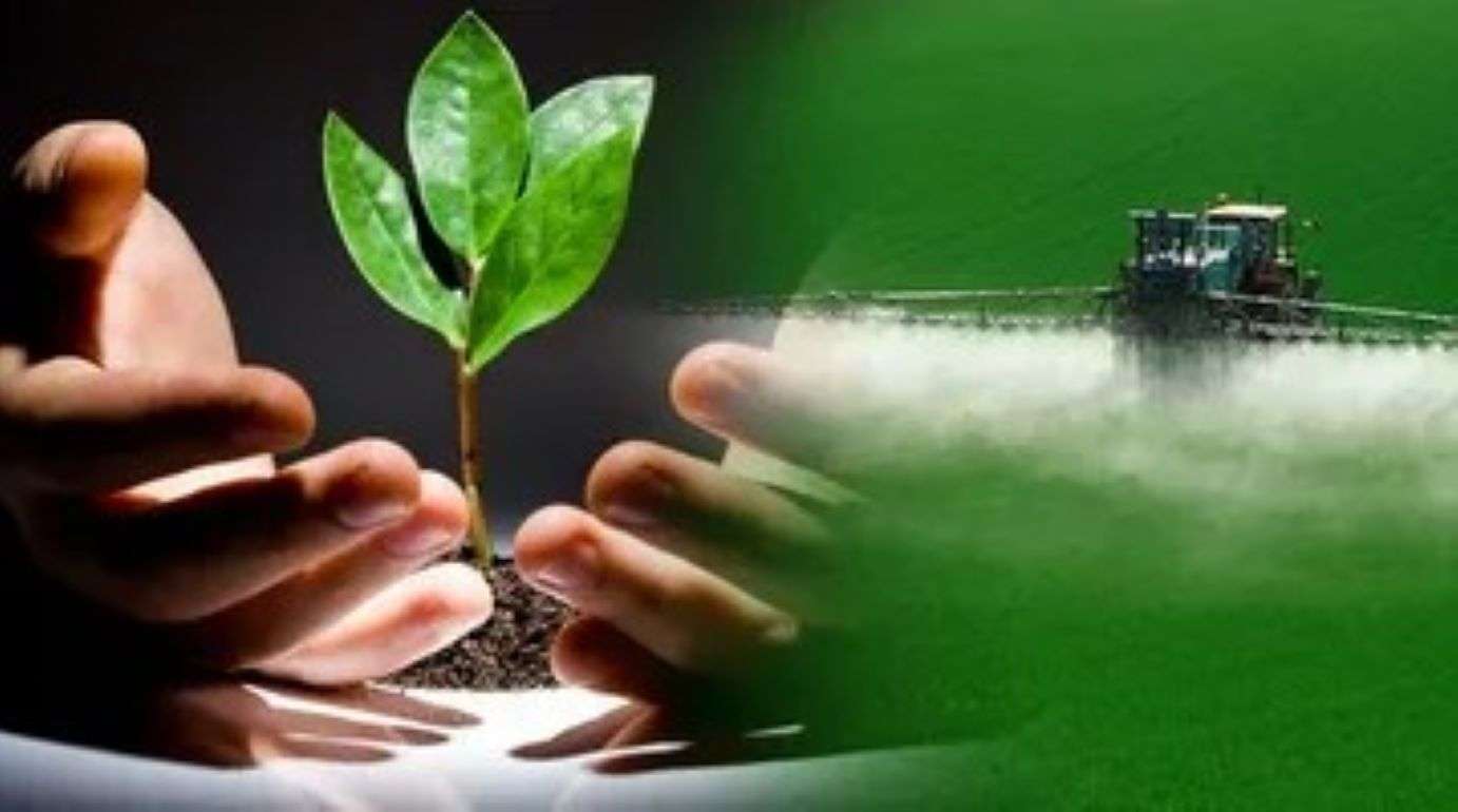 Объем мирового рынка органических пестицидов превысил 5,3 млрд долларов - agroexpert.md
