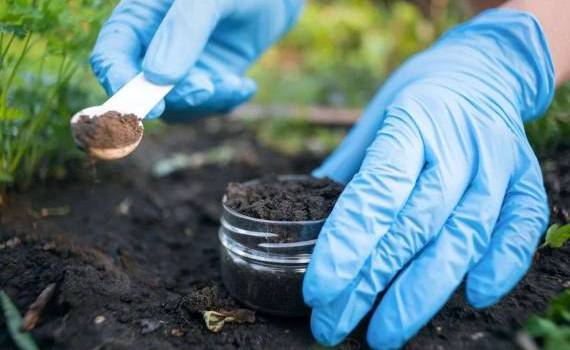 Как агроному избежать ошибок при отборе почвенных проб — рекомендации - agroexpert.md