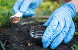 Как агроному избежать ошибок при отборе почвенных проб — рекомендации - agroexpert.md