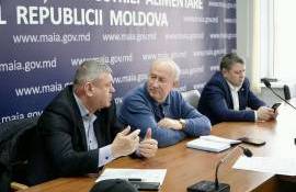 evoluția sectorului cerealier - agroexpert.md