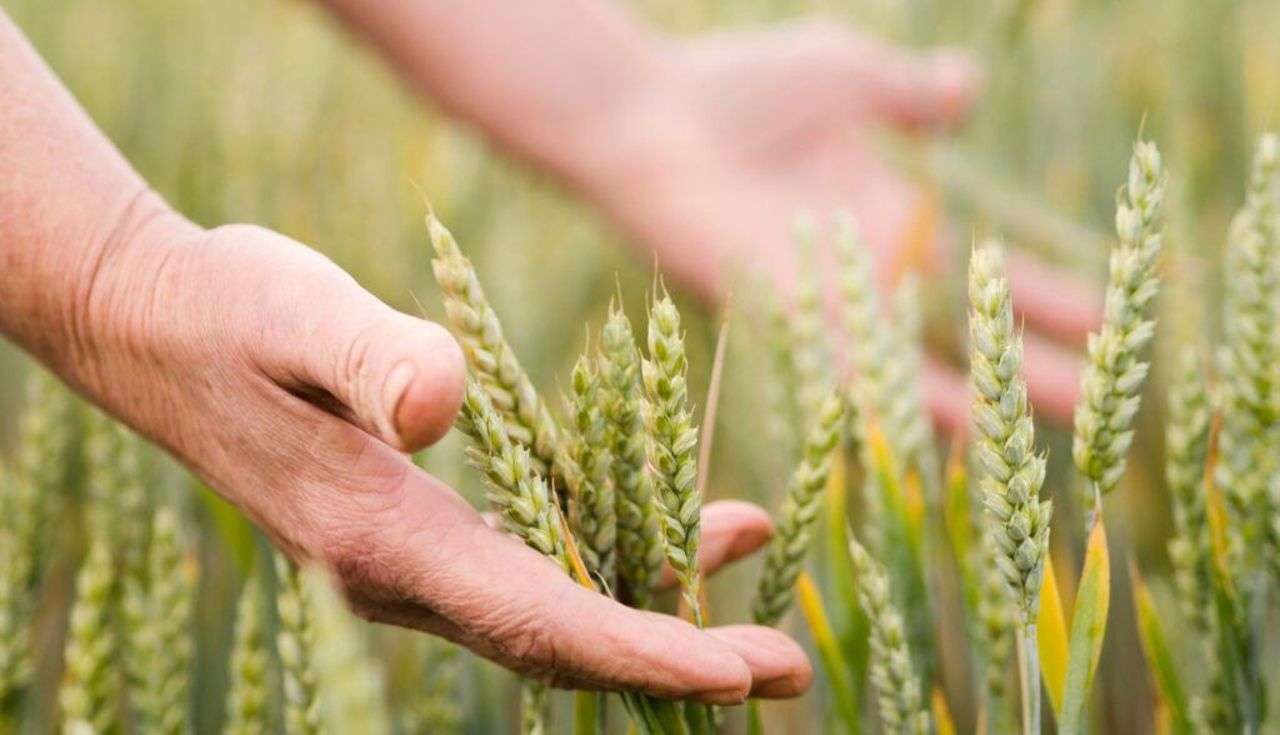 camere agricole pentru fermieri - agroexpert.md