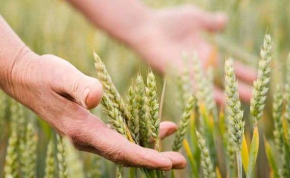 camere agricole pentru fermieri - agroexpert.md