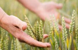 camere agricole pentru fermieri - agroexpert.md