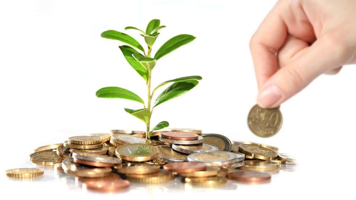 TVA pentru agricultori - agroexpert.md