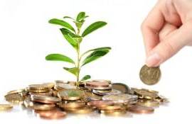 TVA pentru agricultori - agroexpert.md