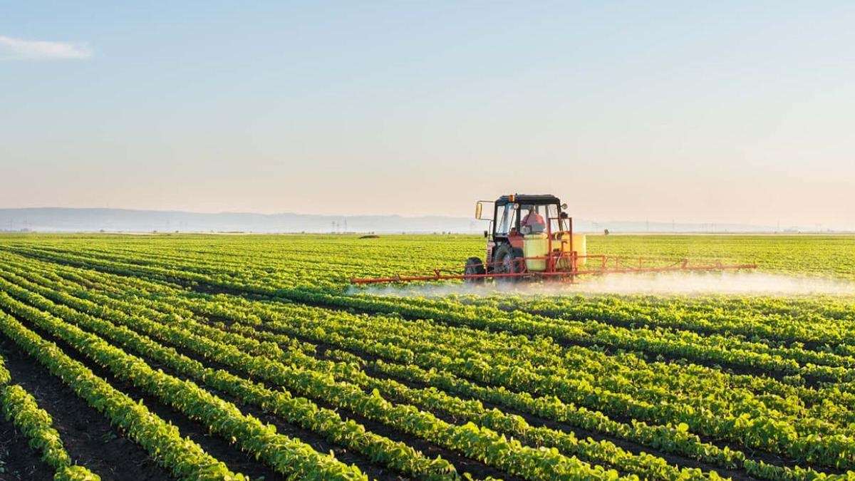 câmp - agroexpert.md