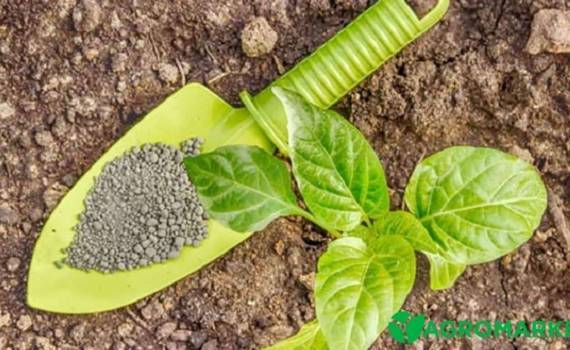 Высокие цены на фосфорные удобрения могут сохраниться до осени - agroexpert.md
