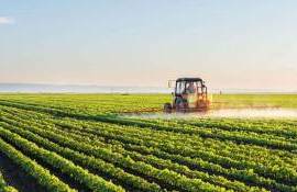 câmp - agroexpert.md