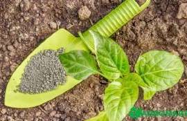 Высокие цены на фосфорные удобрения могут сохраниться до осени - agroexpert.md