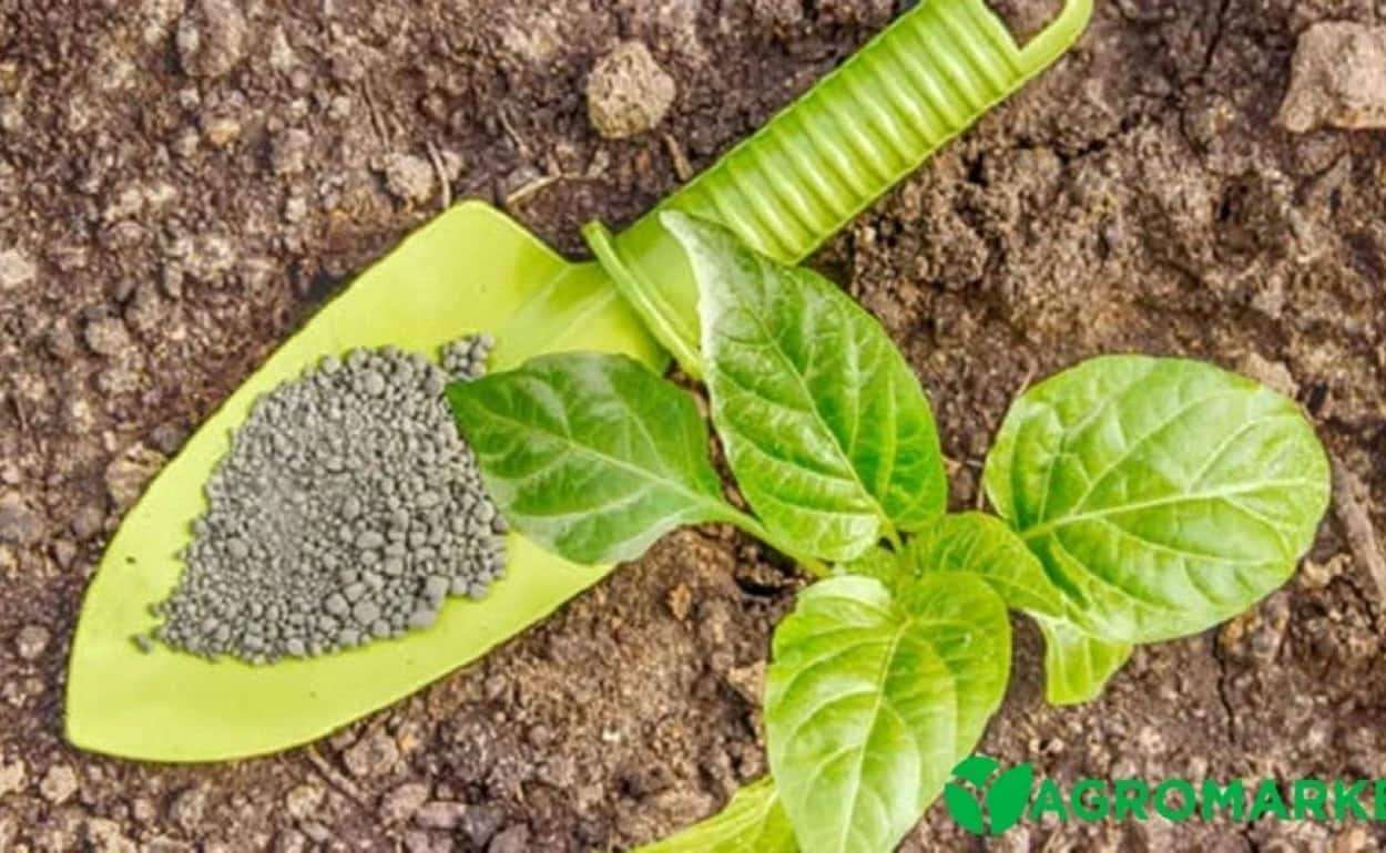 Высокие цены на фосфорные удобрения могут сохраниться до осени - agroexpert.md